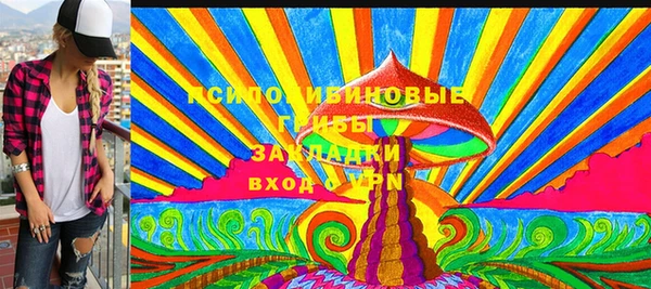 хмурый Алексин