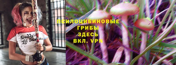 круглые Алзамай