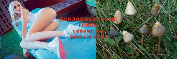 соль ск Алексеевка