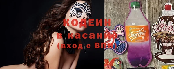 хмурый Алексин